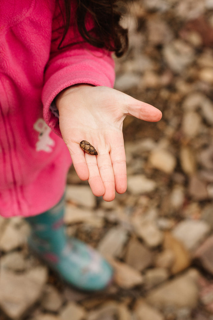 Nature Walk + Free Scavenger Hunt Printable - Lily Jade